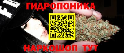прущая мука Лесосибирск