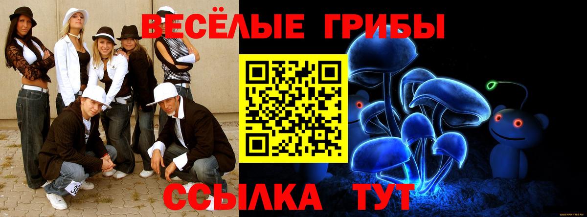 Псилоцибиновые грибы мицелий  Вход с VPN  Среднеуральск 